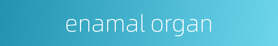 enamal organ的同义词