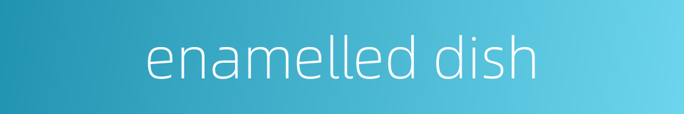 enamelled dish的同义词