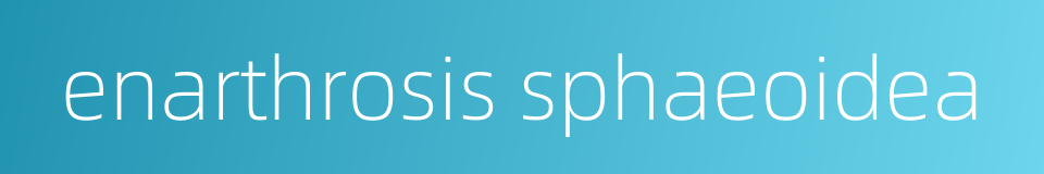 enarthrosis sphaeoidea的同义词