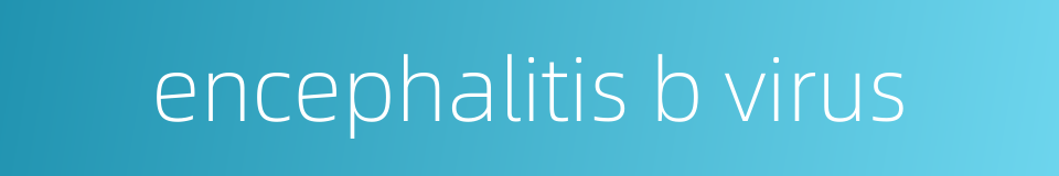 encephalitis b virus的同义词