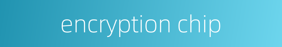 encryption chip的同义词
