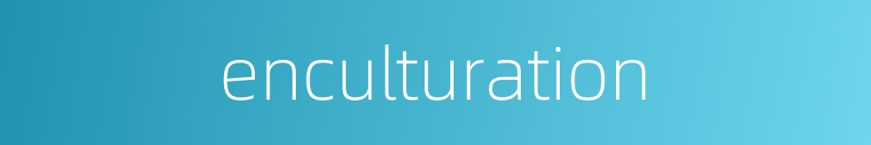 enculturation的同义词
