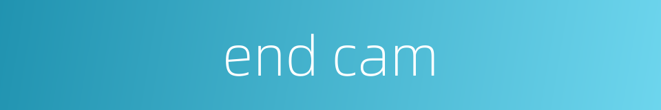 end cam的同义词