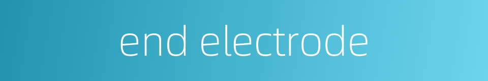 end electrode的同义词