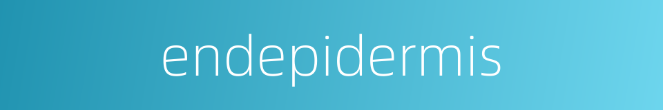 endepidermis的同义词
