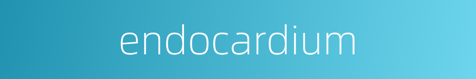 endocardium的同义词