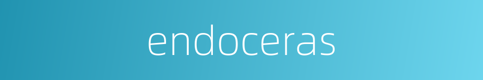 endoceras的同义词