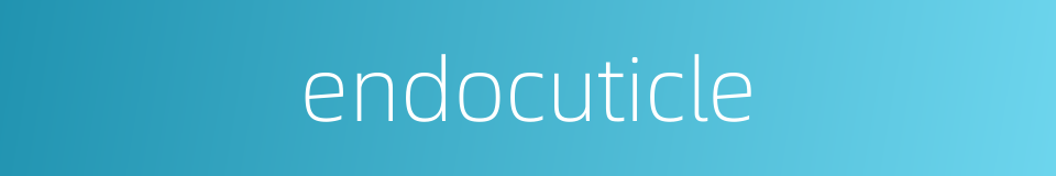 endocuticle的同义词