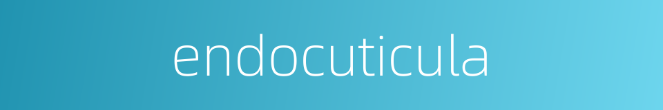 endocuticula的同义词