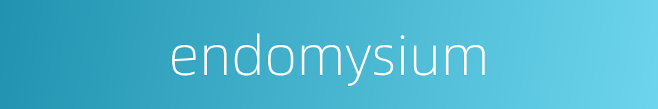 endomysium的同义词