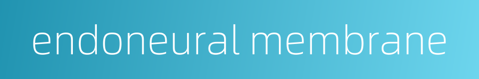 endoneural membrane的同义词
