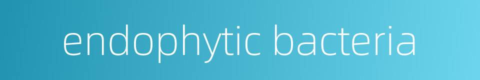 endophytic bacteria的同义词