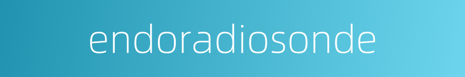 endoradiosonde的同义词