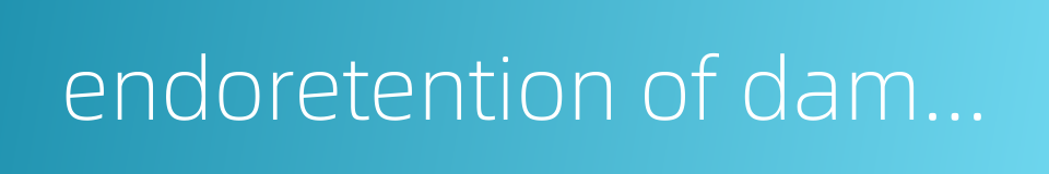 endoretention of damp heat的同义词