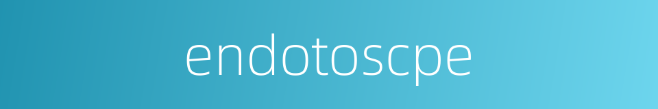 endotoscpe的同义词