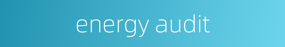 energy audit的同义词