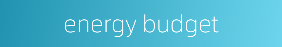 energy budget的同义词