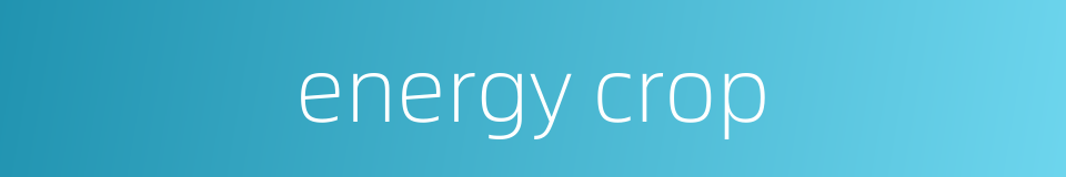 energy crop的同义词