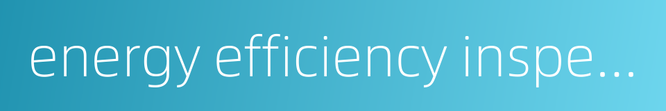 energy efficiency inspection的同义词