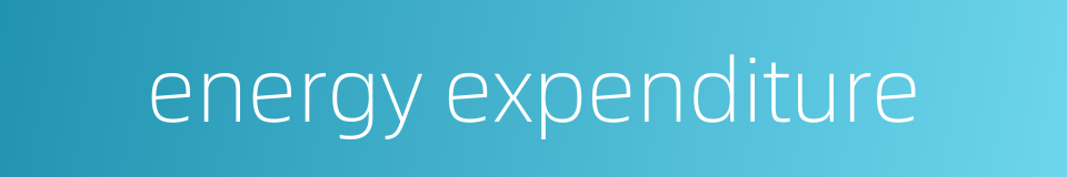 energy expenditure的同义词