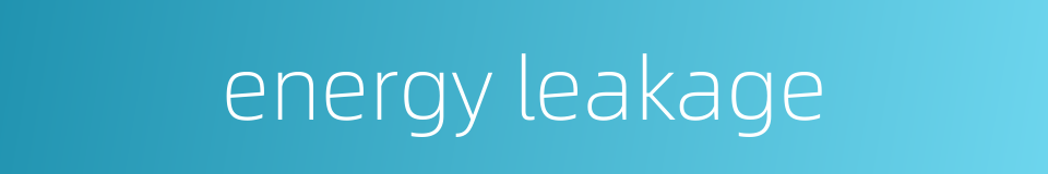 energy leakage的同义词