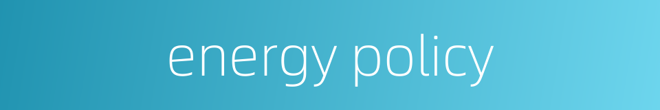 energy policy的同义词
