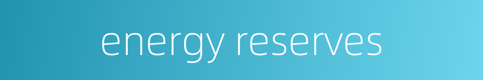 energy reserves的同义词