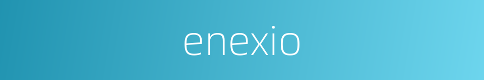 enexio的同义词