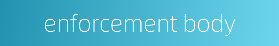 enforcement body的同义词