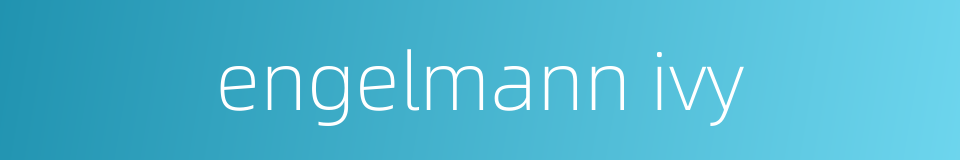 engelmann ivy的同义词