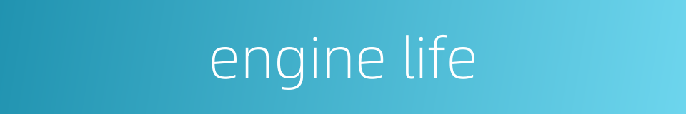 engine life的同义词