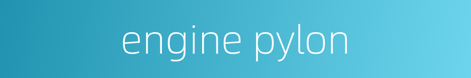 engine pylon的同义词