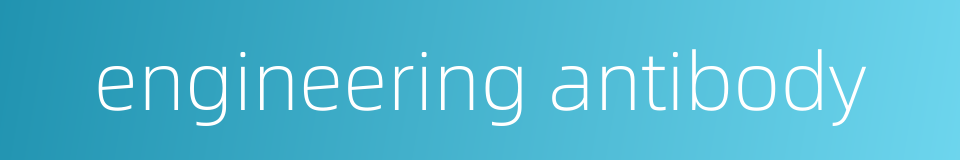 engineering antibody的同义词