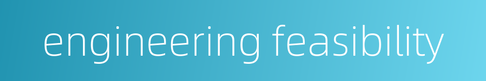 engineering feasibility的同义词