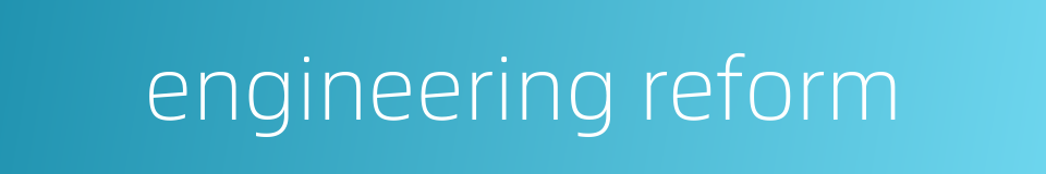 engineering reform的同义词