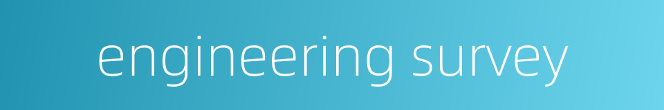 engineering survey的同义词