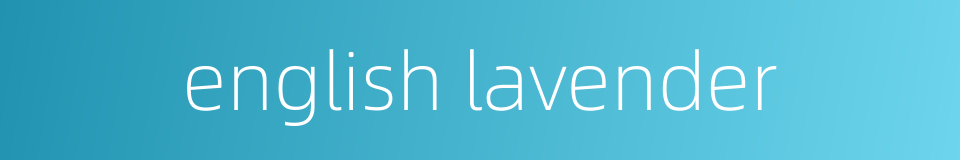 english lavender的同义词