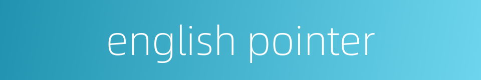 english pointer的同义词