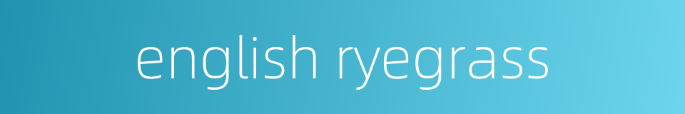 english ryegrass的同义词