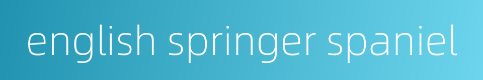 english springer spaniel的同义词