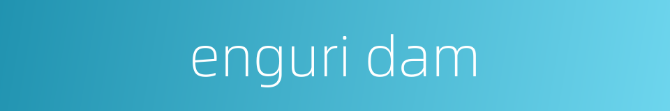 enguri dam的同义词
