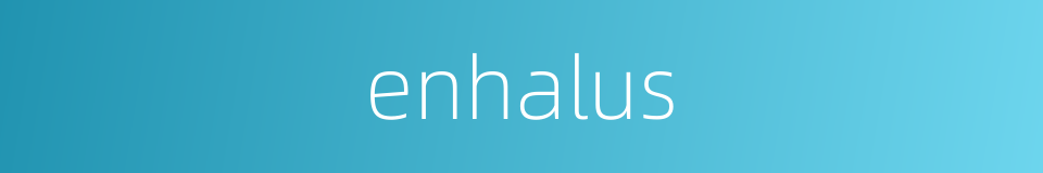 enhalus的同义词