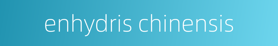 enhydris chinensis的同义词