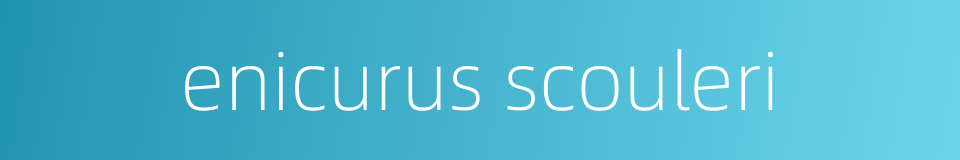 enicurus scouleri的同义词