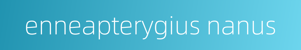 enneapterygius nanus的同义词