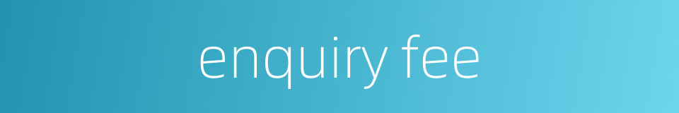 enquiry fee的同义词