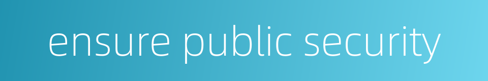 ensure public security的同义词