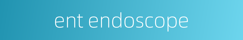 ent endoscope的同义词