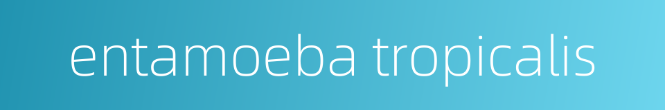 entamoeba tropicalis的同义词