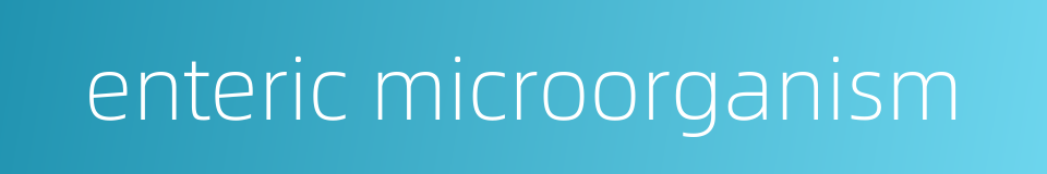 enteric microorganism的同义词